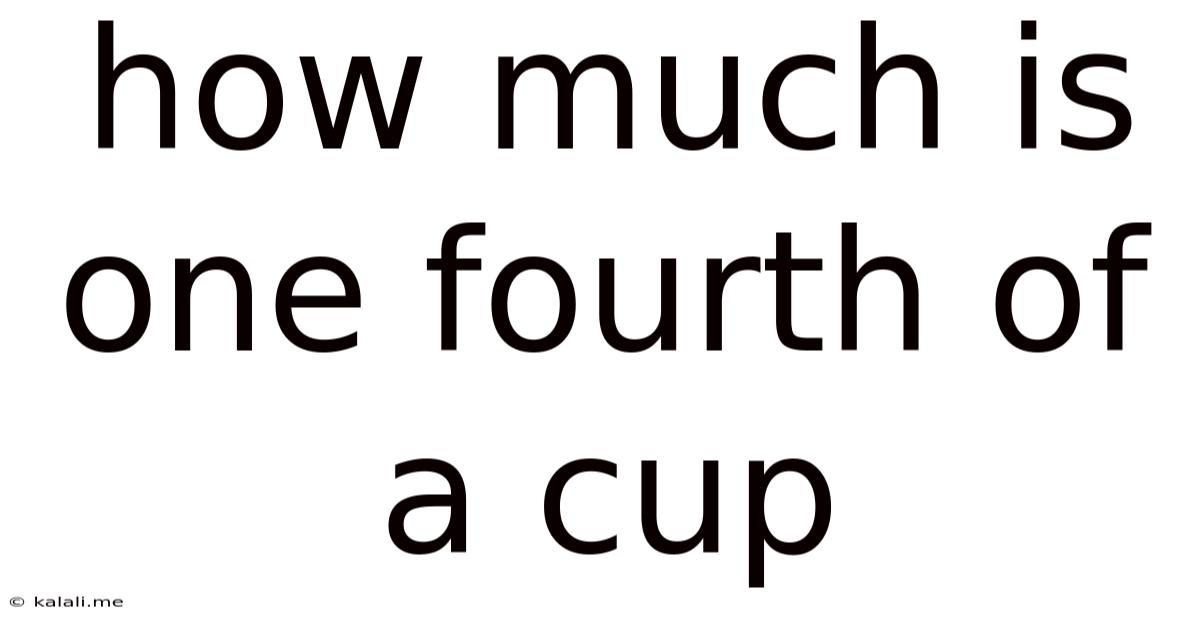 How Much Is One Fourth Of A Cup