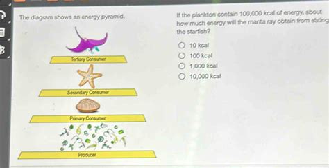 How Much Kcal Is In Phytoplankton