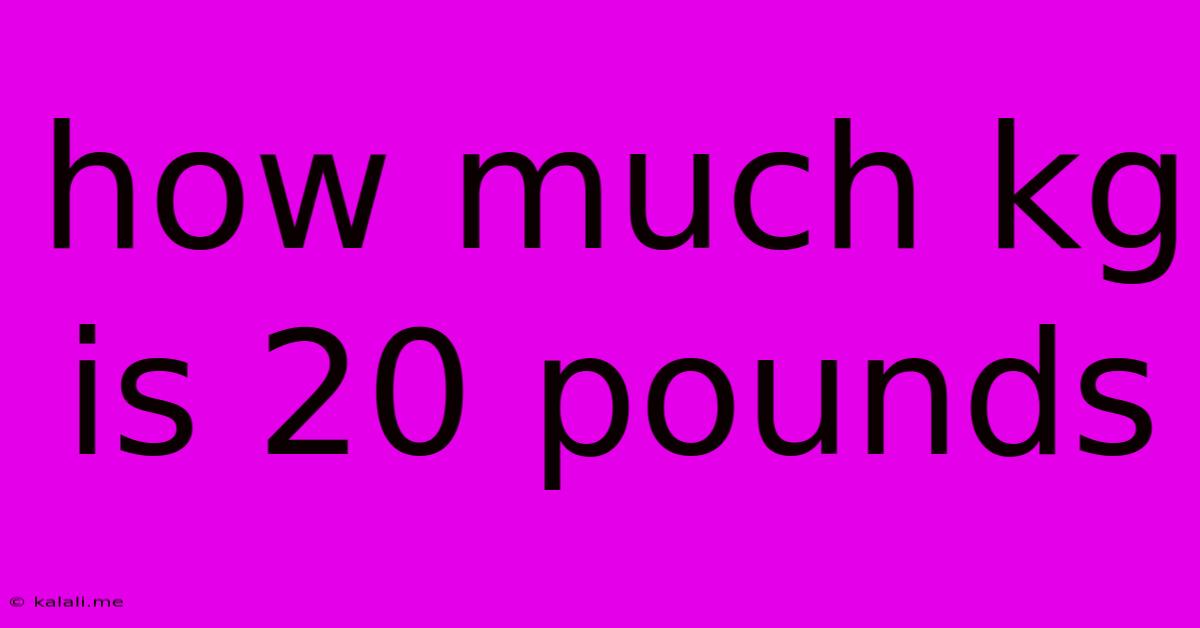 How Much Kg Is 20 Pounds