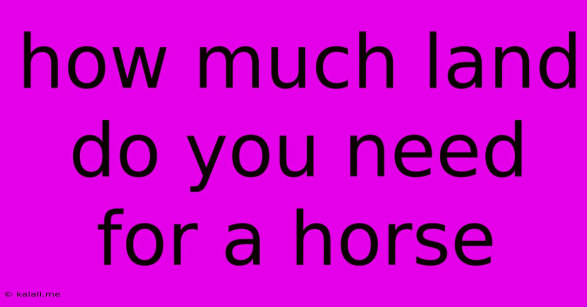 How Much Land Do You Need For A Horse