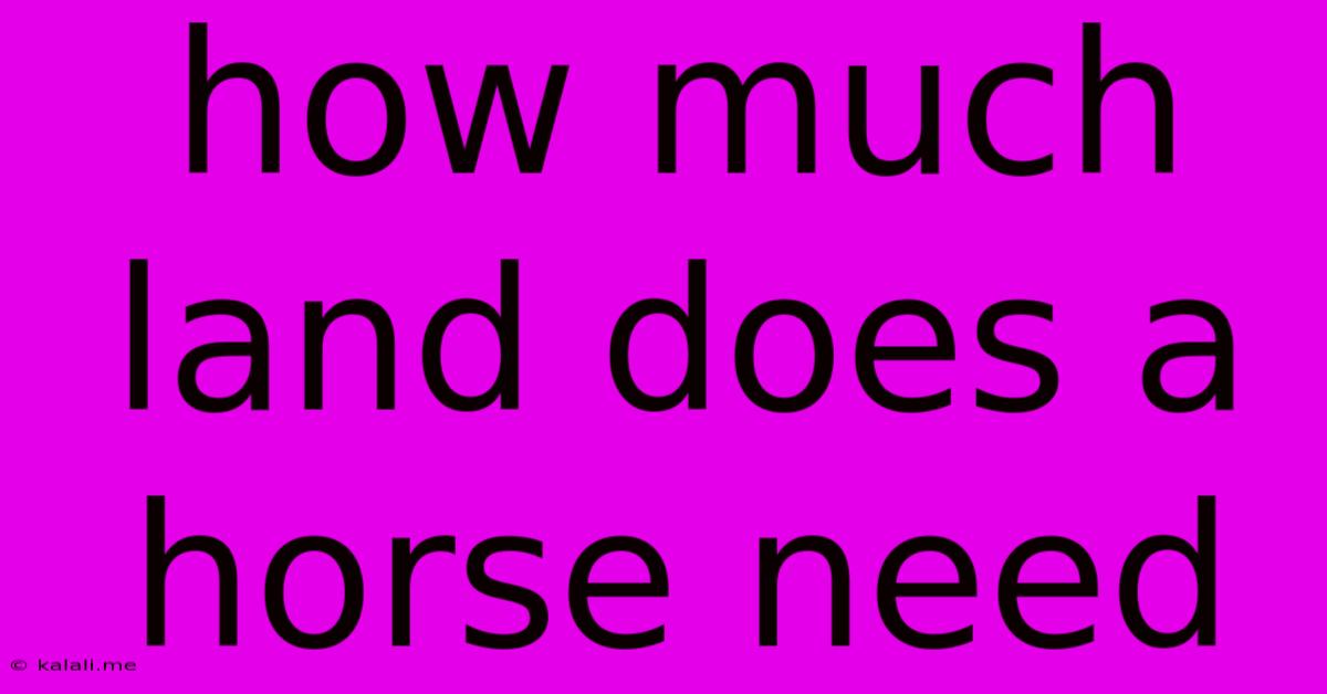 How Much Land Does A Horse Need