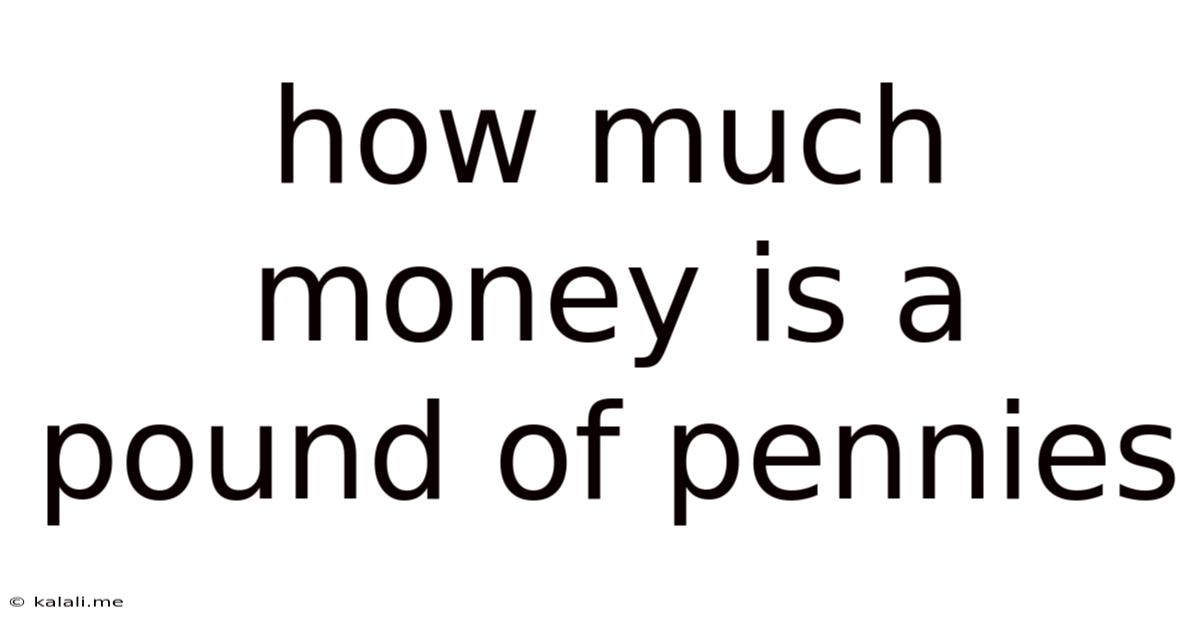 How Much Money Is A Pound Of Pennies