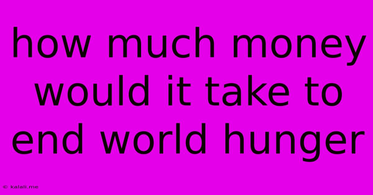 How Much Money Would It Take To End World Hunger