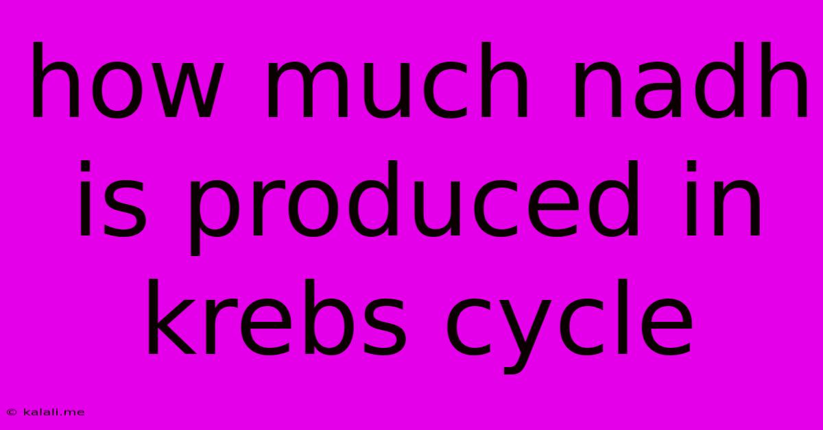 How Much Nadh Is Produced In Krebs Cycle