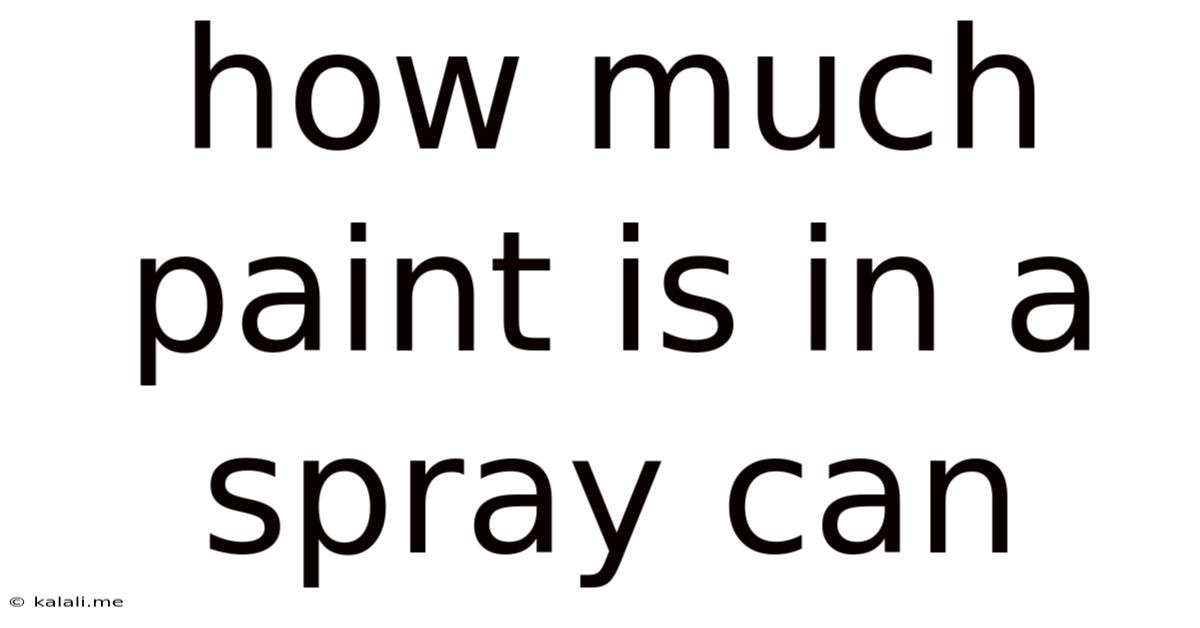 How Much Paint Is In A Spray Can