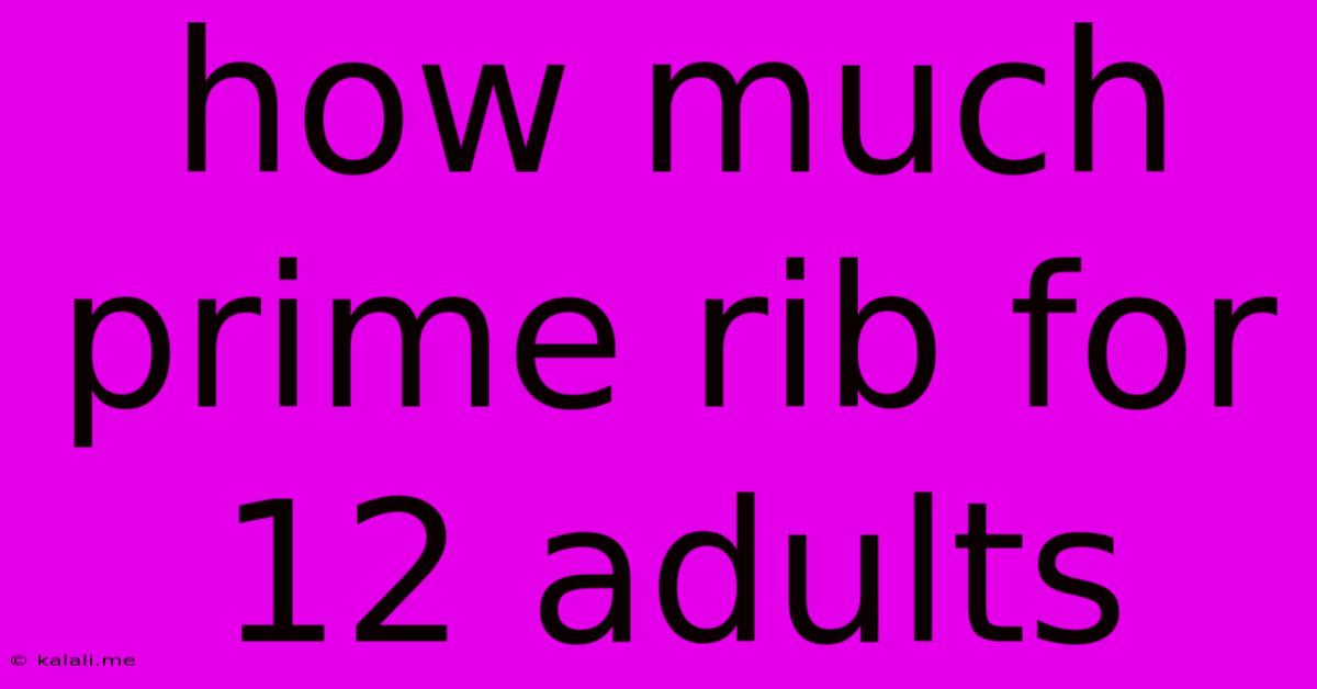 How Much Prime Rib For 12 Adults
