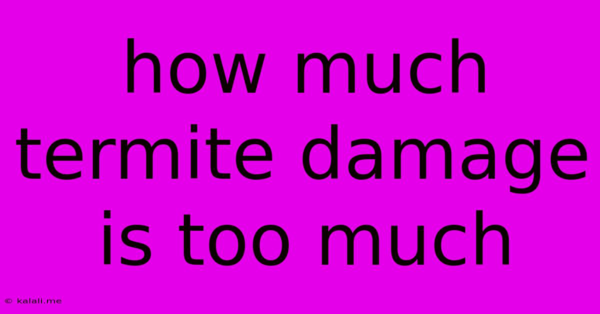 How Much Termite Damage Is Too Much