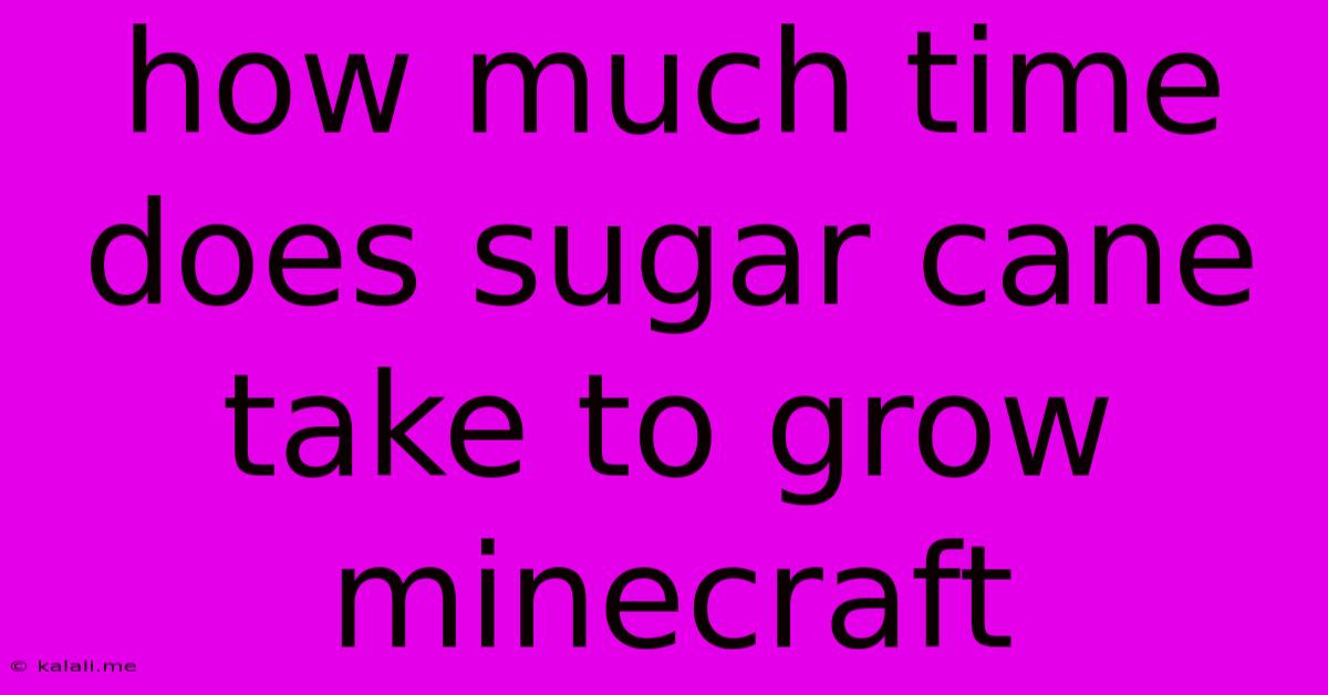 How Much Time Does Sugar Cane Take To Grow Minecraft