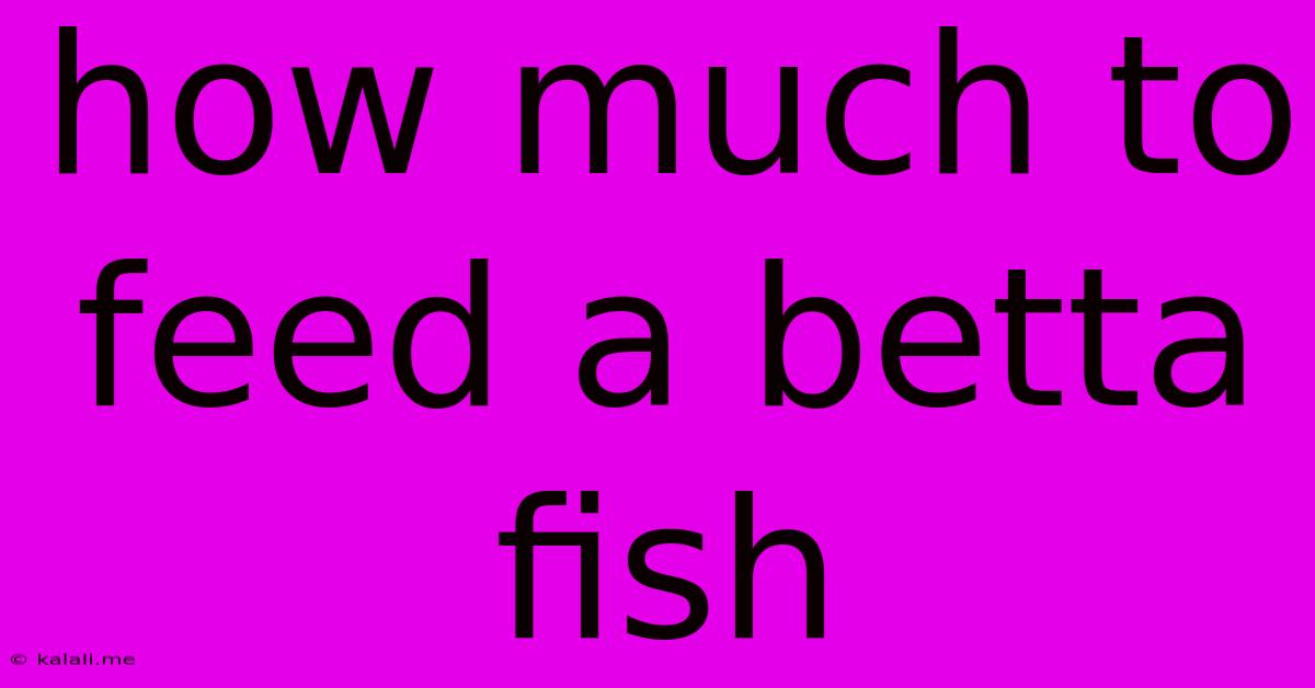 How Much To Feed A Betta Fish
