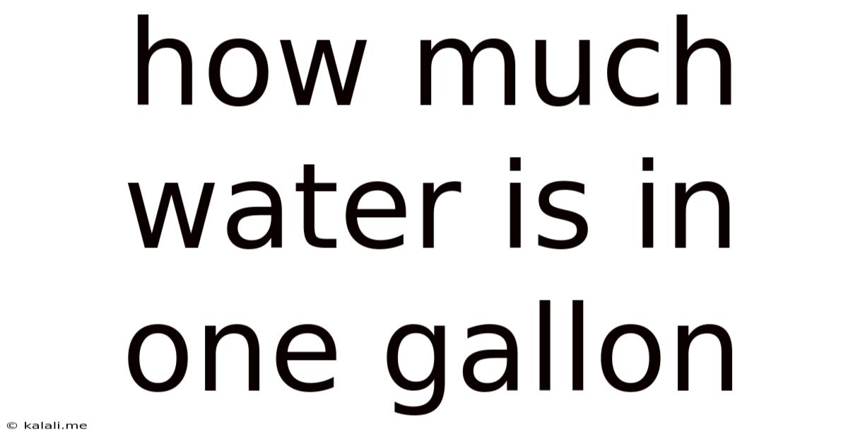 How Much Water Is In One Gallon