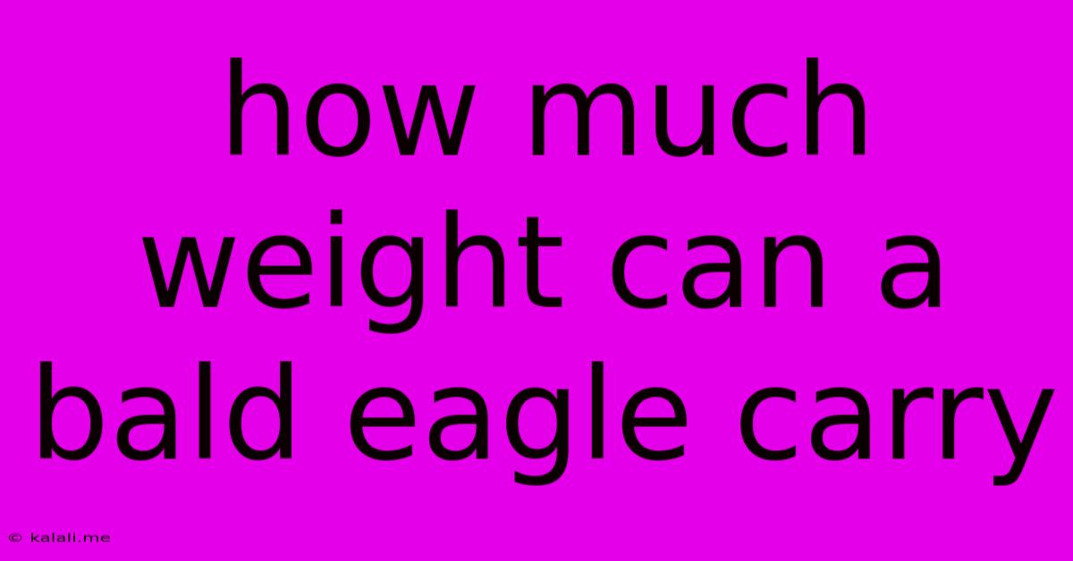 How Much Weight Can A Bald Eagle Carry
