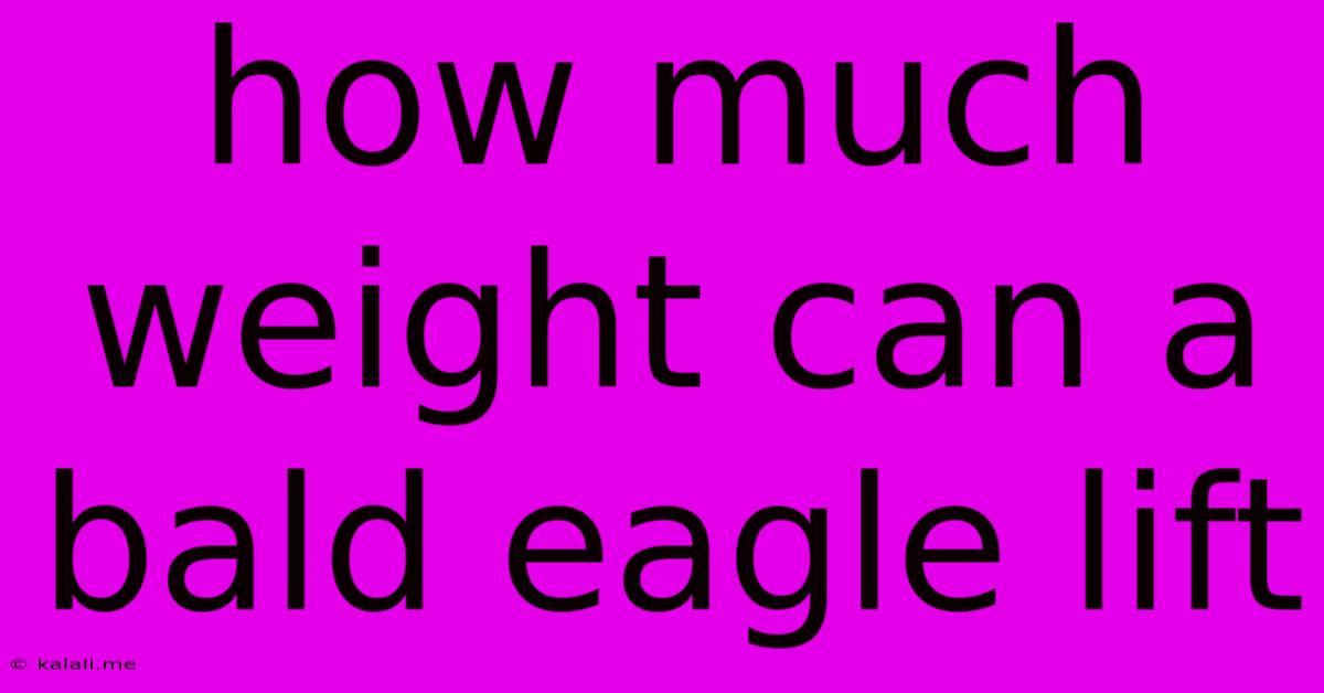 How Much Weight Can A Bald Eagle Lift