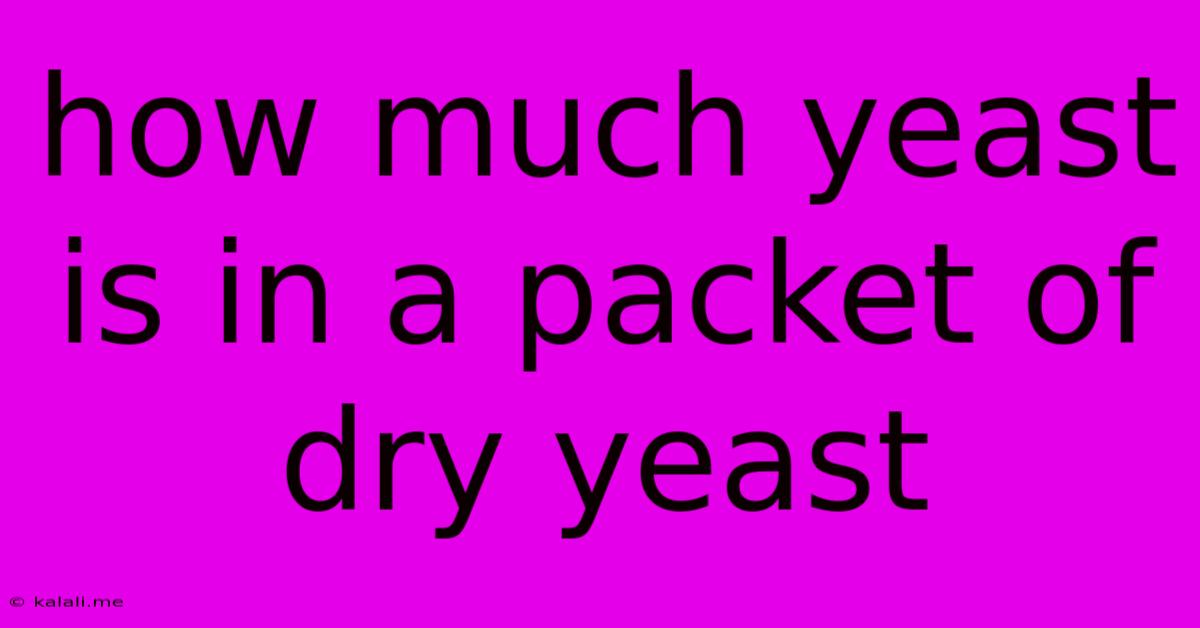 How Much Yeast Is In A Packet Of Dry Yeast