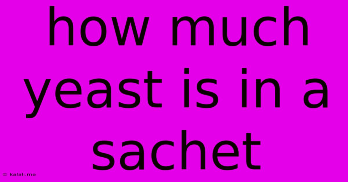 How Much Yeast Is In A Sachet