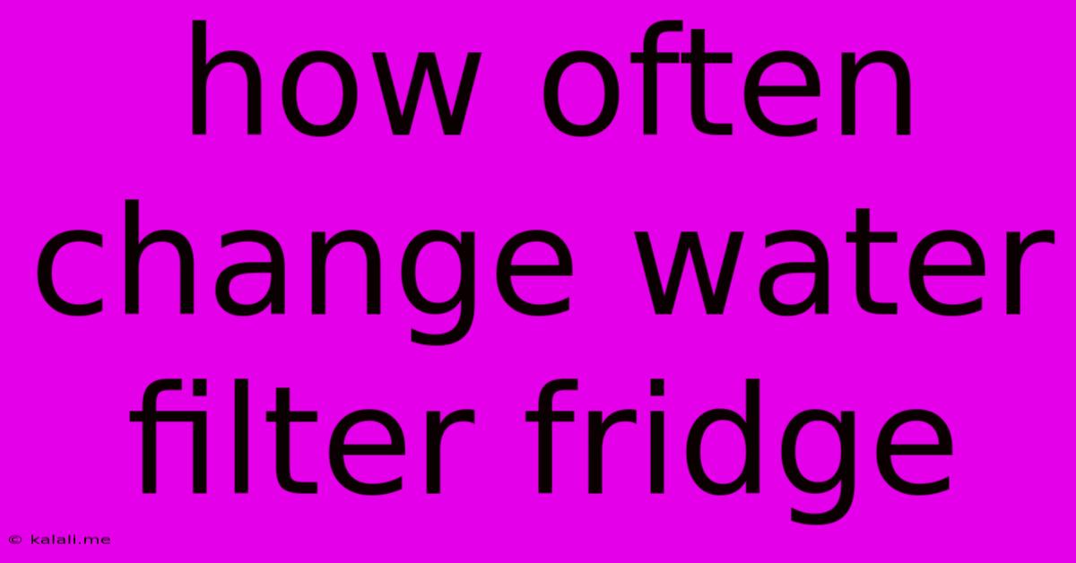 How Often Change Water Filter Fridge