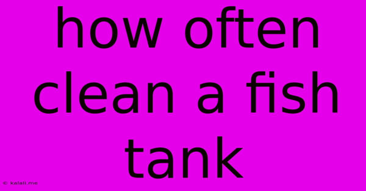 How Often Clean A Fish Tank