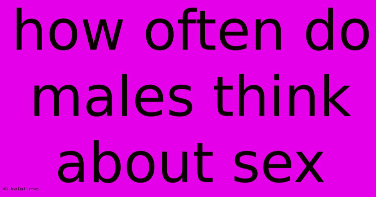 How Often Do Males Think About Sex