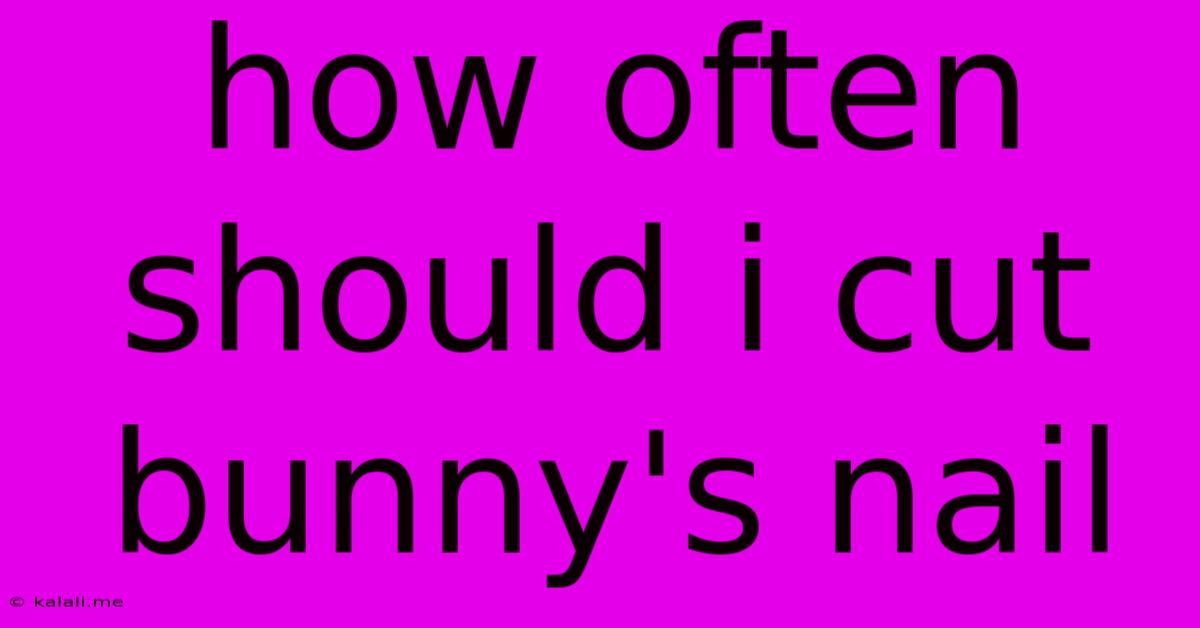 How Often Should I Cut Bunny's Nail