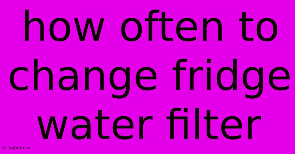 How Often To Change Fridge Water Filter
