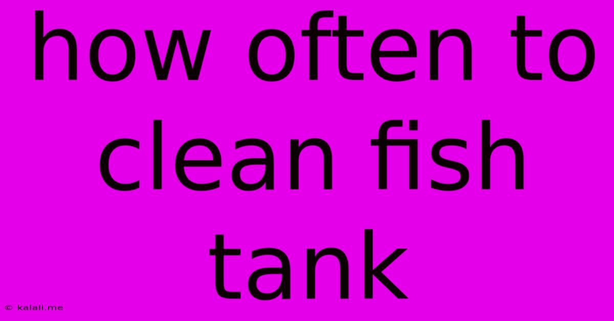 How Often To Clean Fish Tank