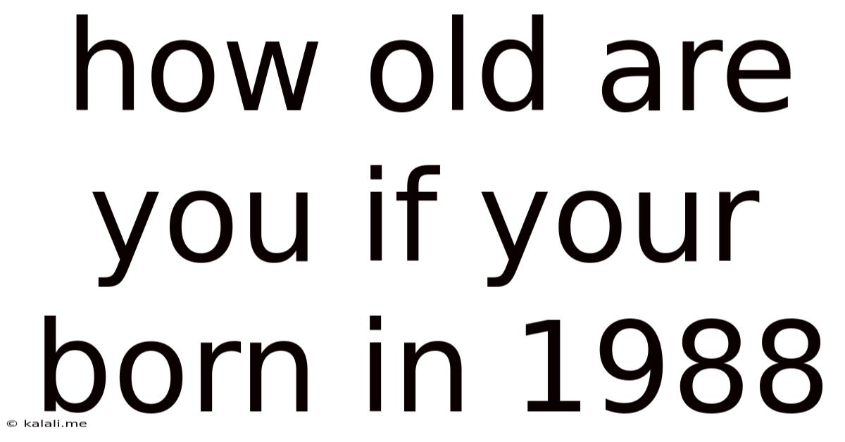How Old Are You If Your Born In 1988