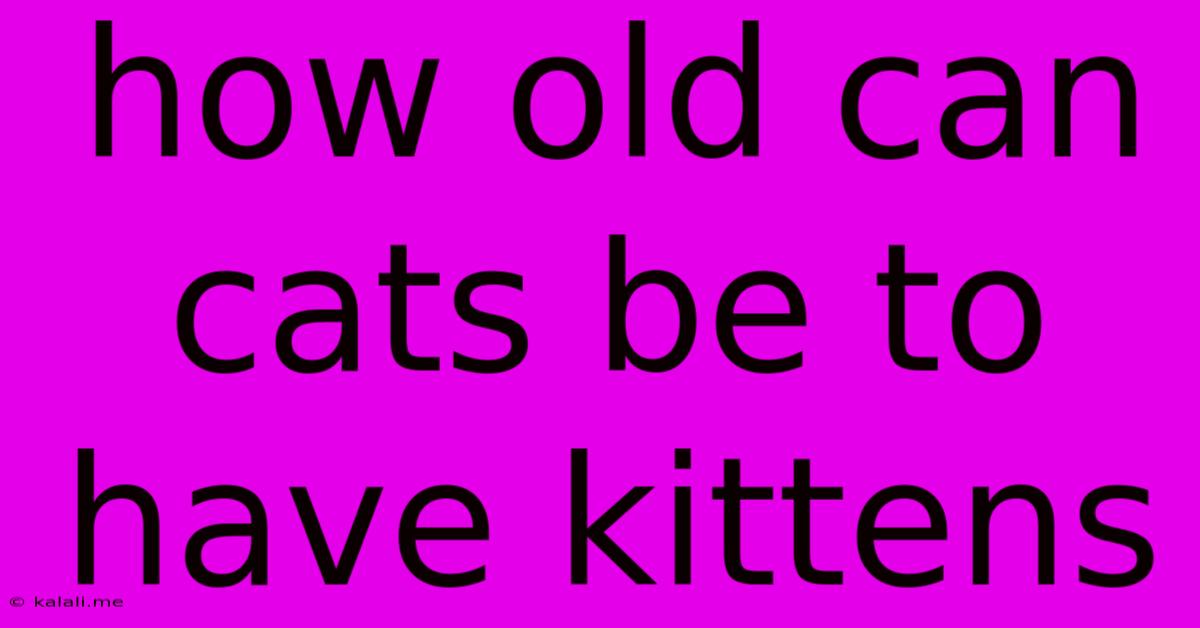 How Old Can Cats Be To Have Kittens