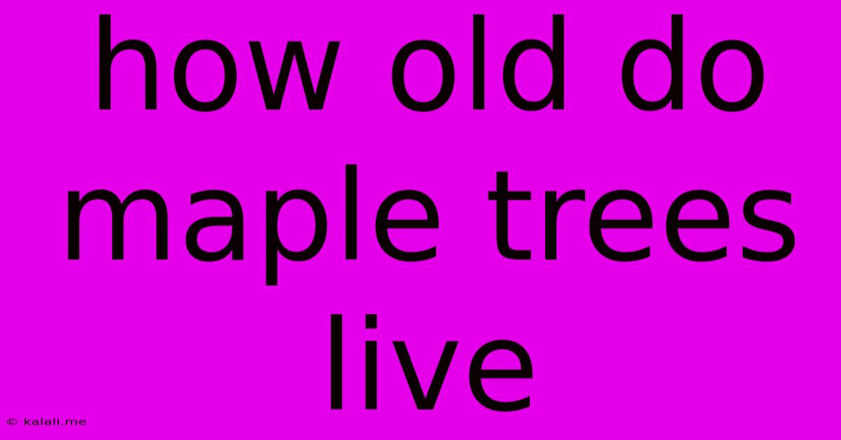How Old Do Maple Trees Live