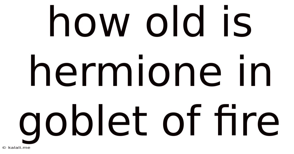 How Old Is Hermione In Goblet Of Fire