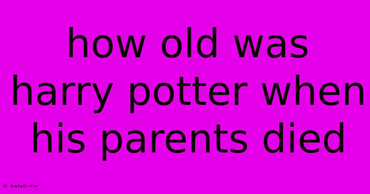 How Old Was Harry Potter When His Parents Died