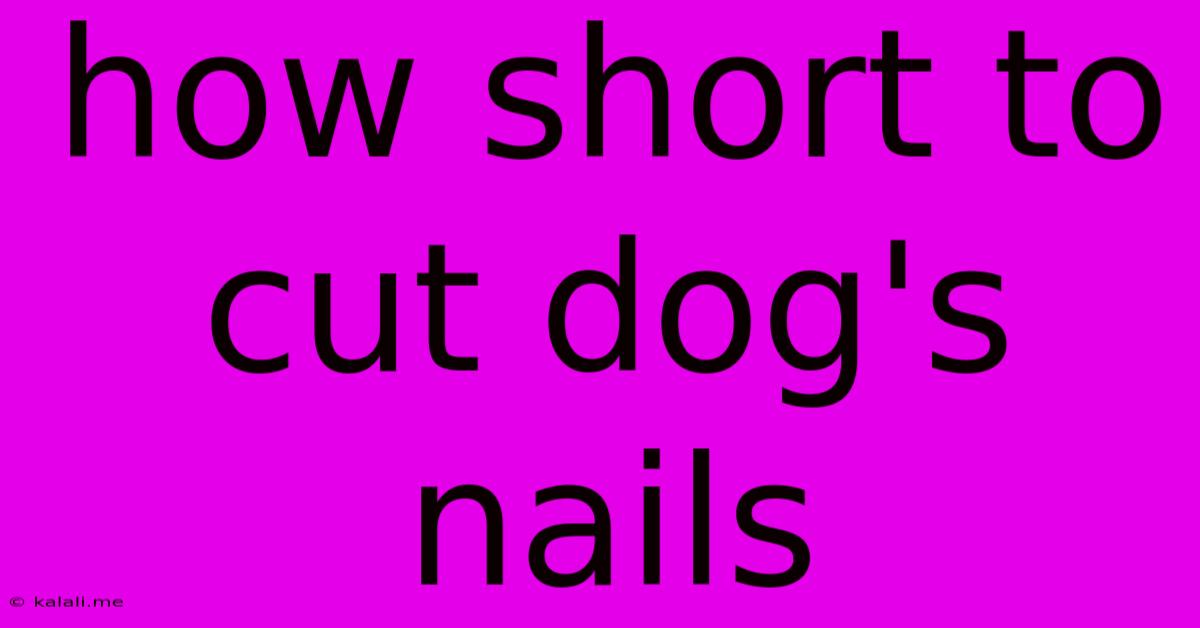 How Short To Cut Dog's Nails