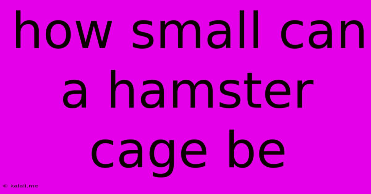 How Small Can A Hamster Cage Be
