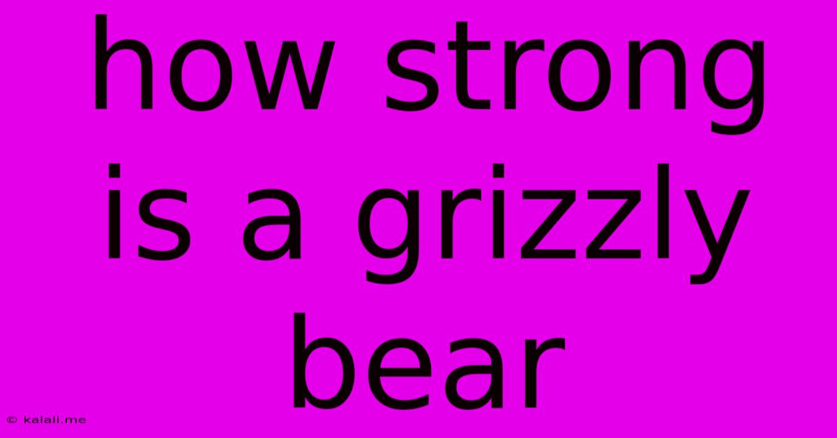 How Strong Is A Grizzly Bear