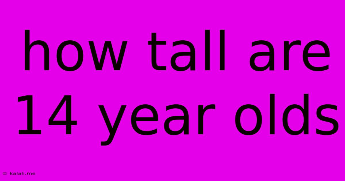 How Tall Are 14 Year Olds