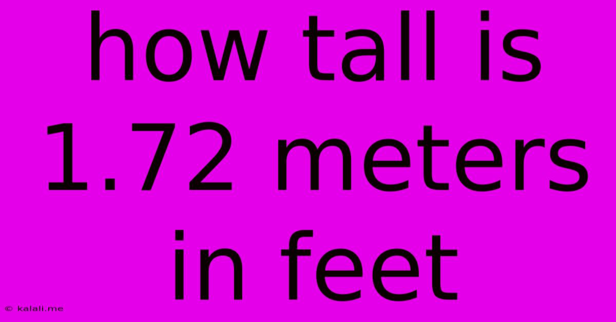 How Tall Is 1.72 Meters In Feet