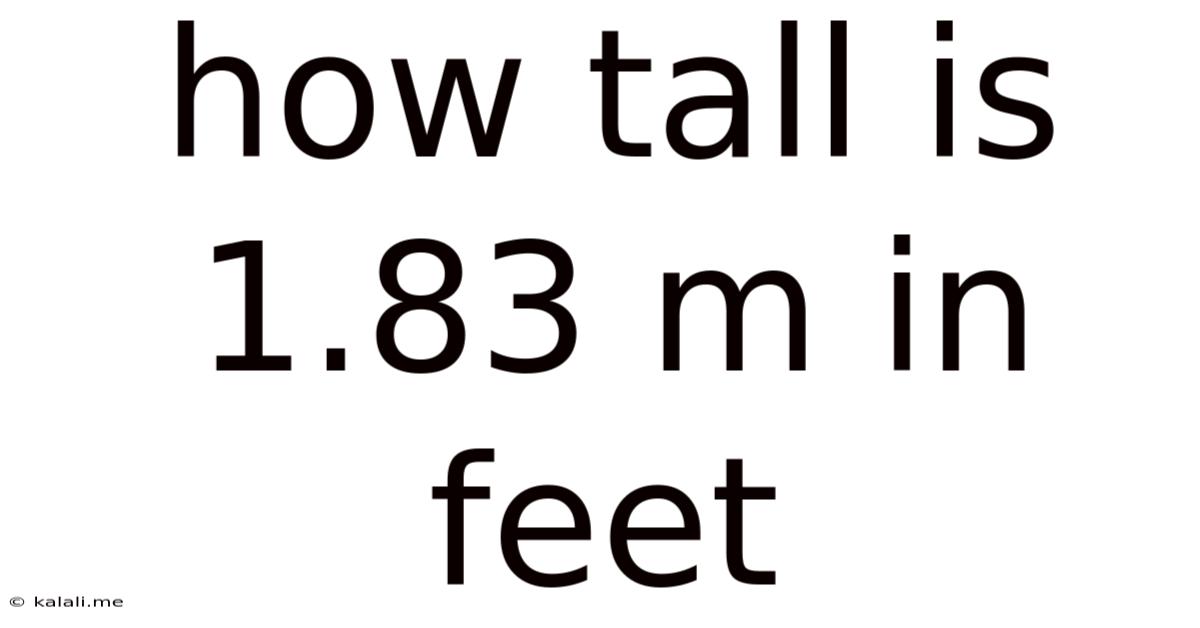 How Tall Is 1.83 M In Feet