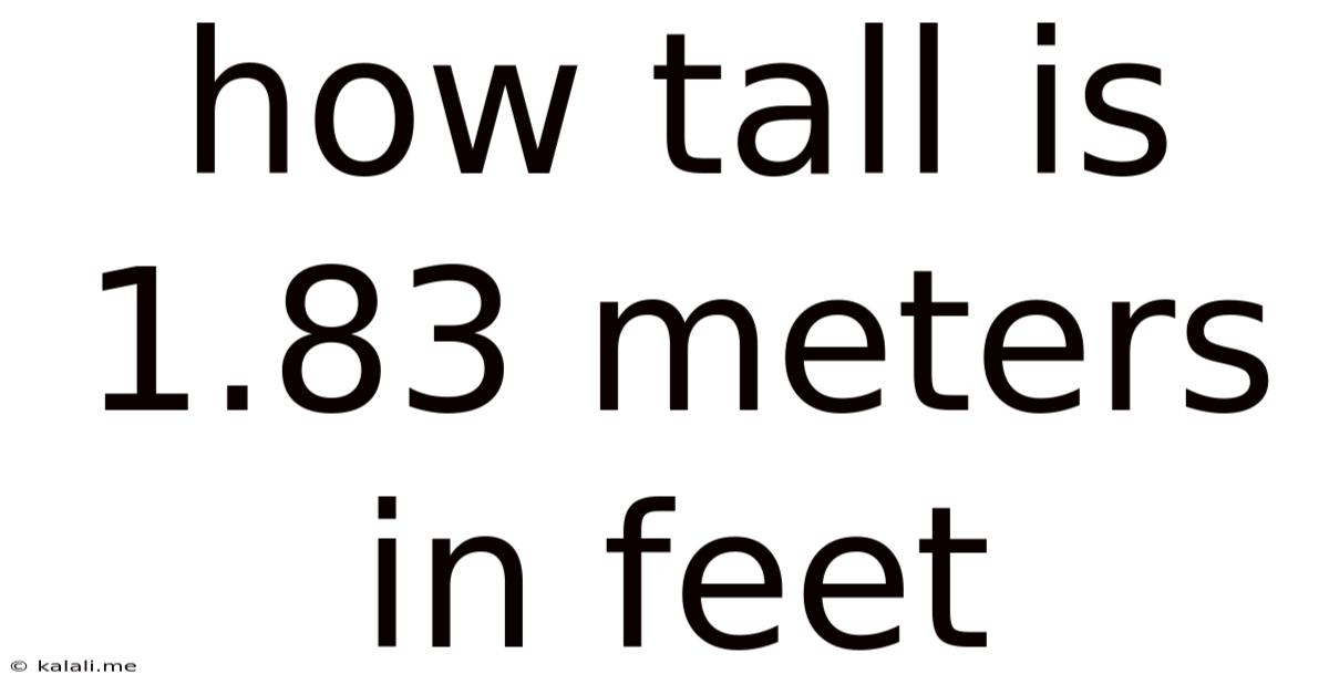 How Tall Is 1.83 Meters In Feet