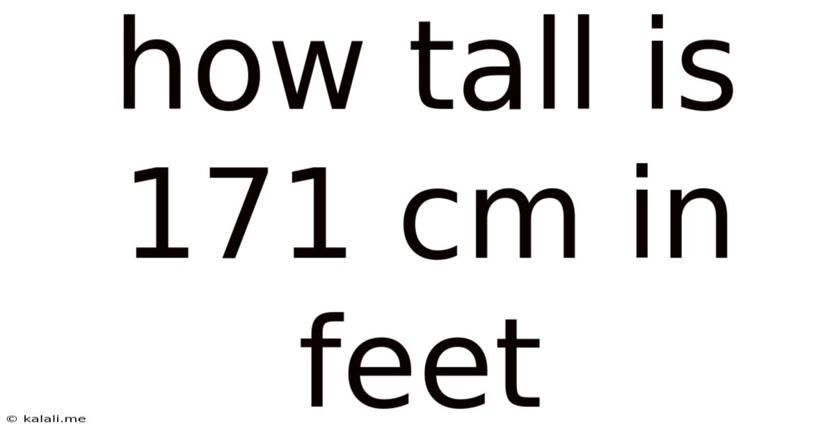 How Tall Is 171 Cm In Feet