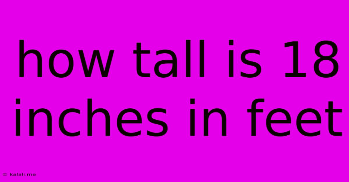 How Tall Is 18 Inches In Feet