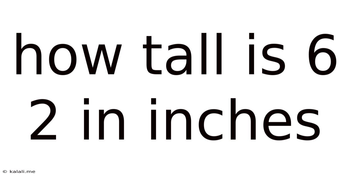 How Tall Is 6 2 In Inches