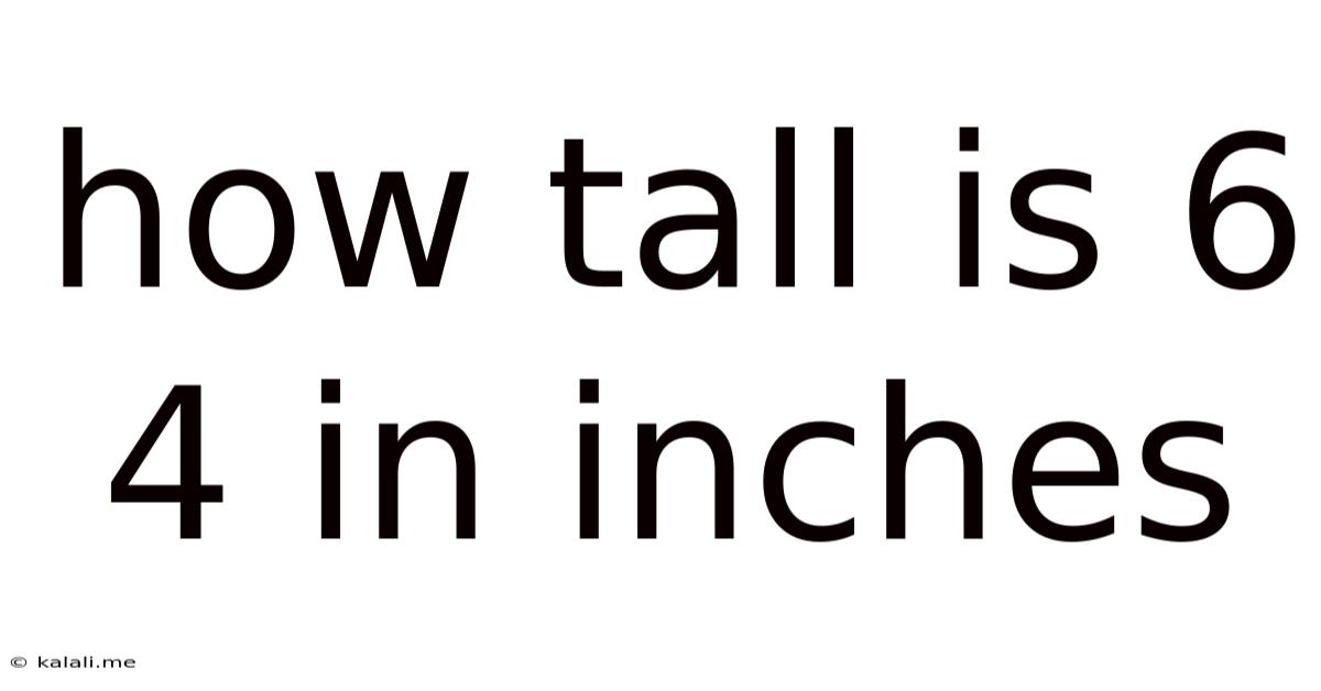 How Tall Is 6 4 In Inches