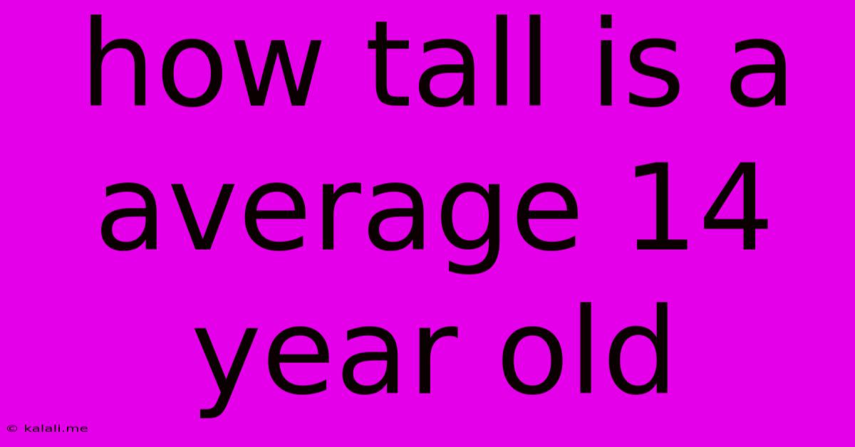 How Tall Is A Average 14 Year Old