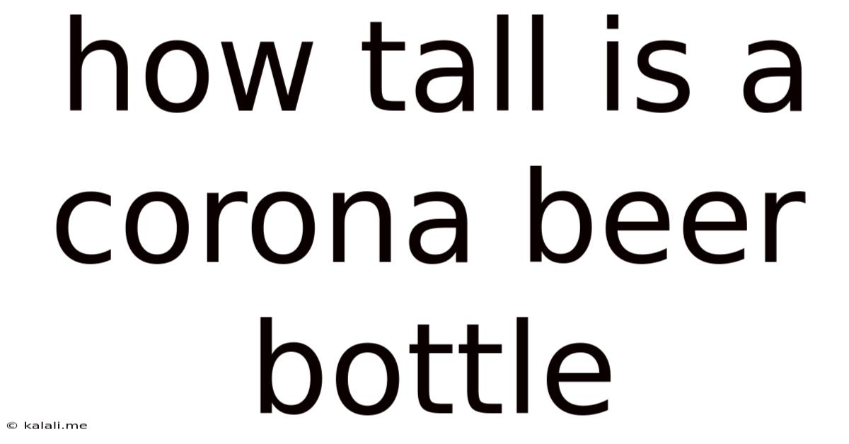 How Tall Is A Corona Beer Bottle