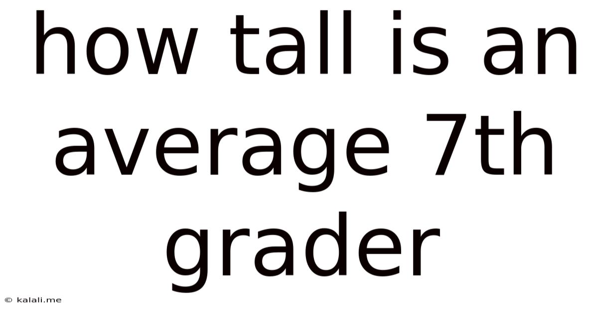How Tall Is An Average 7th Grader