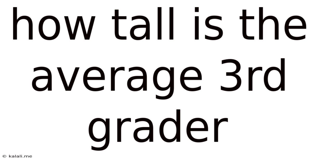 How Tall Is The Average 3rd Grader