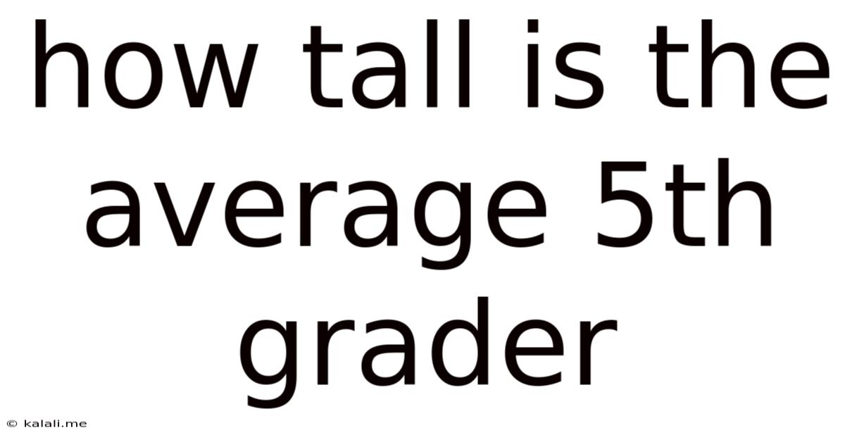 How Tall Is The Average 5th Grader