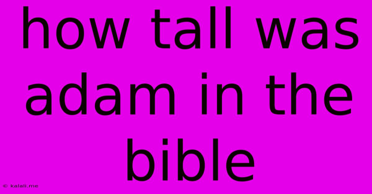 How Tall Was Adam In The Bible