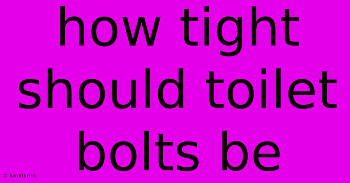 How Tight Should Toilet Bolts Be