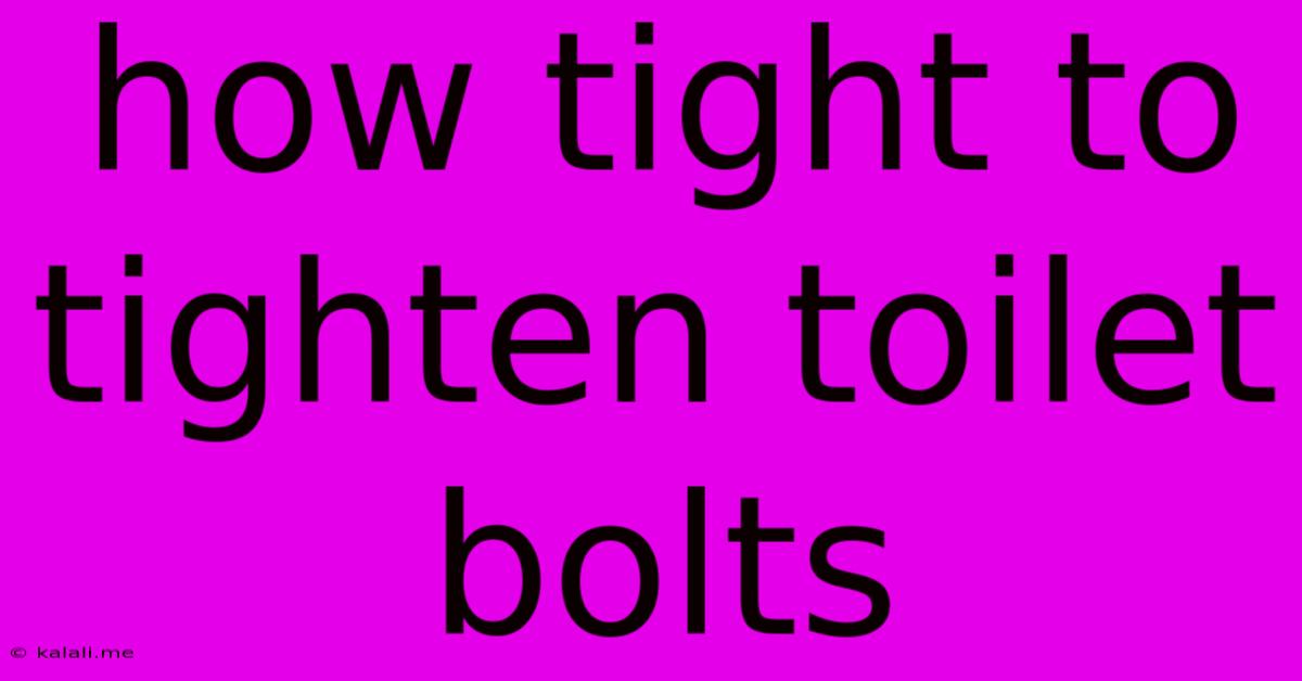 How Tight To Tighten Toilet Bolts