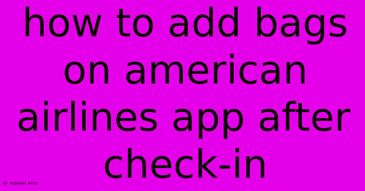 How To Add Bags On American Airlines App After Check-in