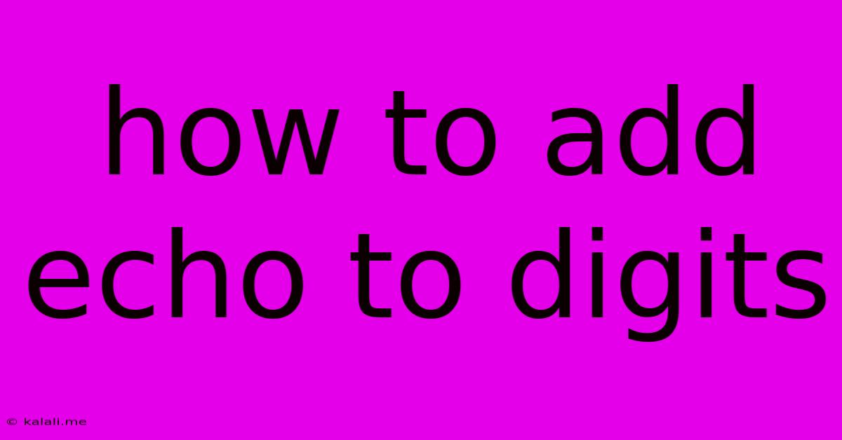 How To Add Echo To Digits